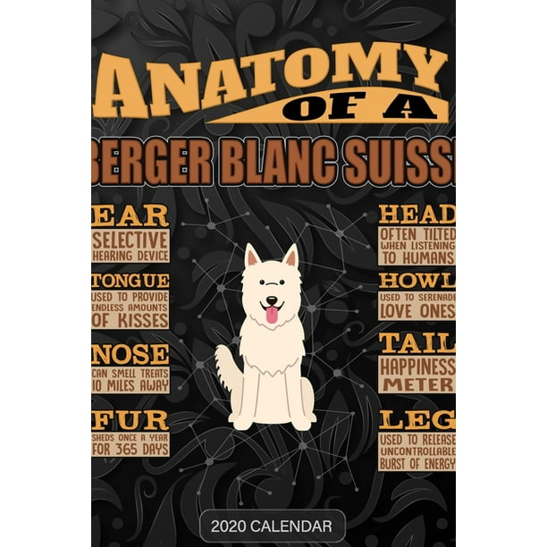 Berger Blanc Suisse Porte-cl/és dans l/´emballage cadeau.